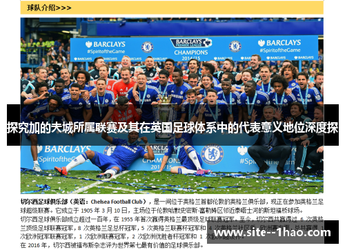 探究加的夫城所属联赛及其在英国足球体系中的代表意义地位深度探