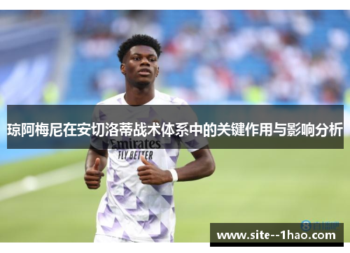 琼阿梅尼在安切洛蒂战术体系中的关键作用与影响分析