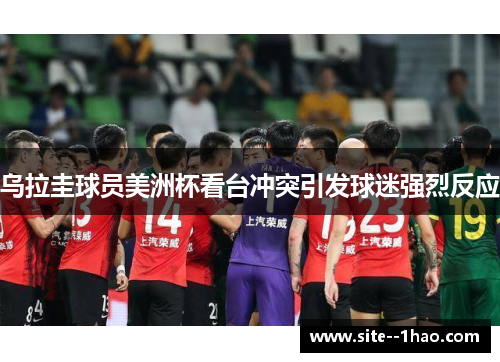 乌拉圭球员美洲杯看台冲突引发球迷强烈反应